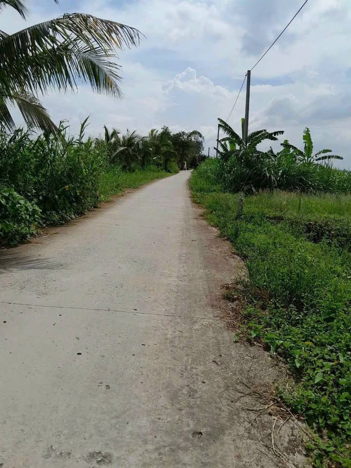 Đất nền Thạnh Phú, Cờ Đỏ 1080m² giá 800 triệu - Đầu tư lý tưởng!