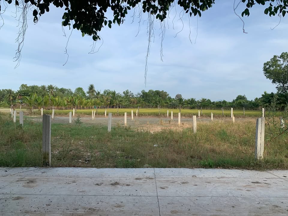 Đất thổ cư Xóm Bố, Phước Thạnh, Gò Dầu 150m² giá chỉ 460 triệu - Đầu tư sinh lời ngay!