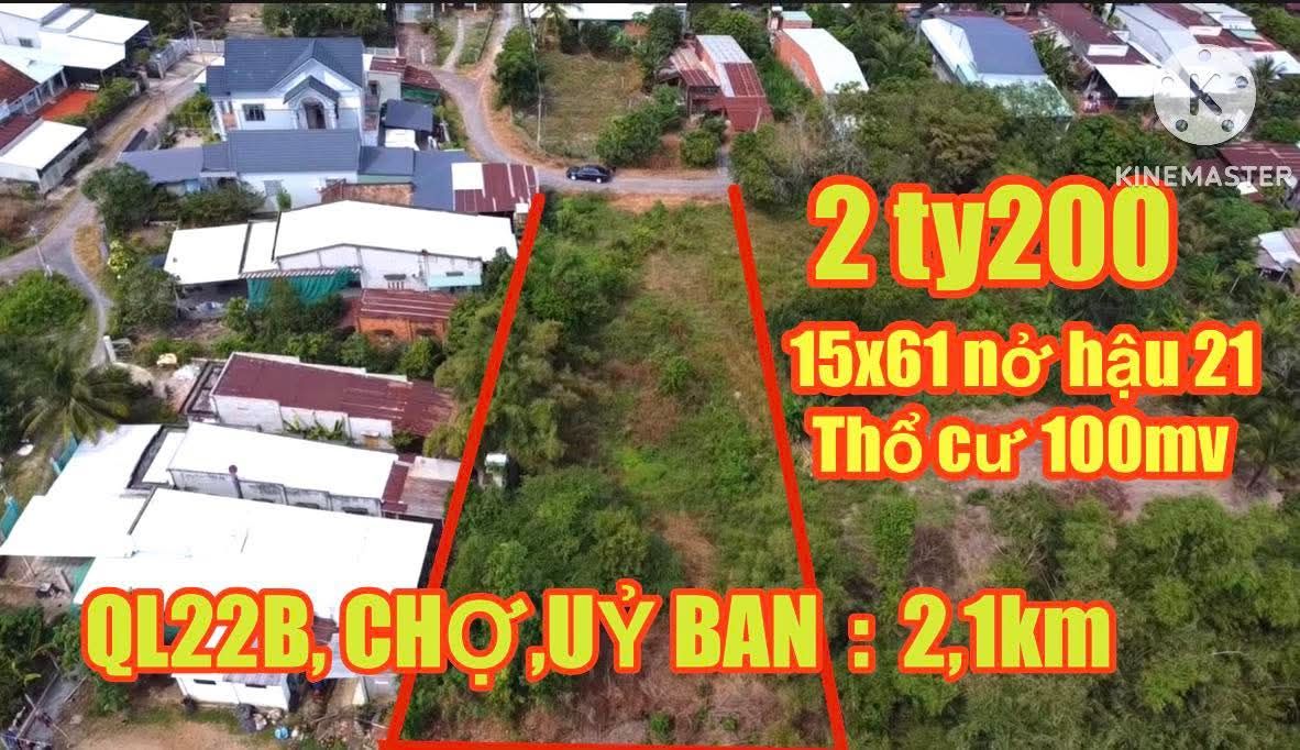 Đất thổ cư Gò Dầu Tây Ninh 921m² giá 2.2 tỷ - Cơ hội đầu tư hấp dẫn!