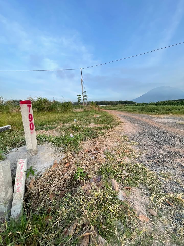 Đất Ninh Thạnh 4,6 công giá 2,3 tỷ - Thế đất đẹp hiếm có!