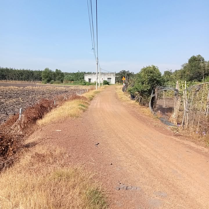 Đất thổ cư 430m² xã Phước Minh - Giá chỉ 310 triệu, cơ hội đầu tư hiếm có!