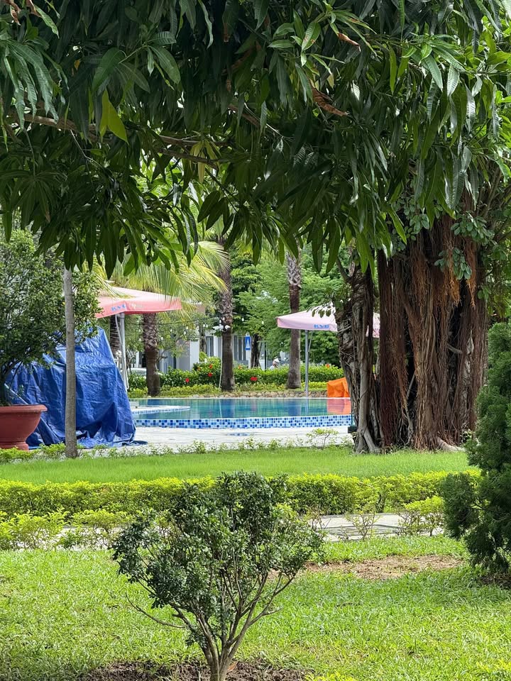 Nhà gói 8 Khu đô thị Mỹ Gia Nha Trang 100m² giá 11.2 tỷ - Không gian sống lý tưởng!