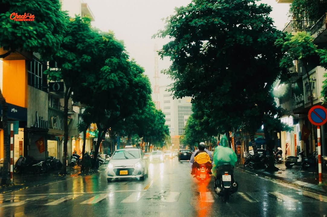 Bán đất tặng nhà khu 8 Tân Bình, 122m² giá 3 tỷ - Cơ hội đầu tư tuyệt vời!