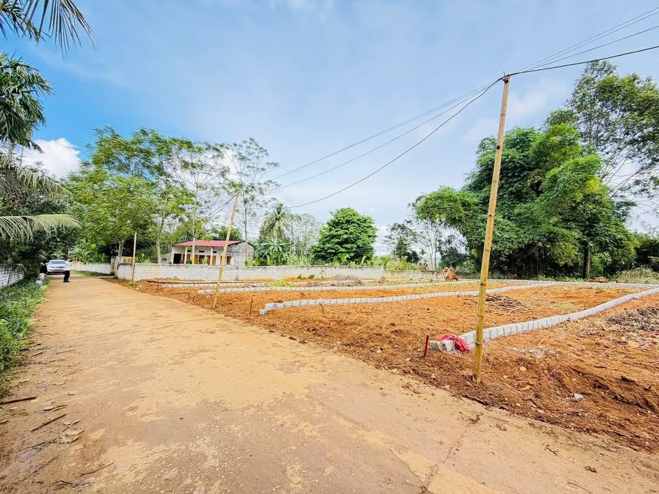 Đất nền Cẩm Châu - Cẩm Thủy 100m² chỉ 100 triệu - Cơ hội đầu tư sinh lời!