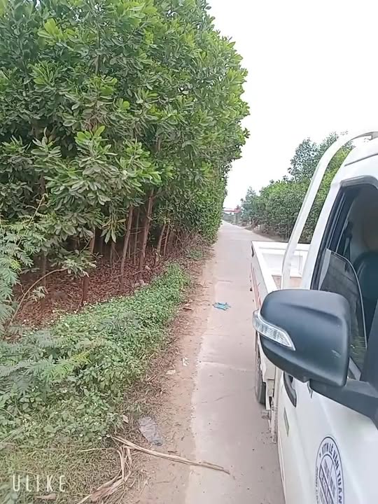 Đất nền thôn 1, Thuận Minh, Thọ Xuân 128m² giá chỉ 500 triệu - Cơ hội đầu tư hấp dẫn!