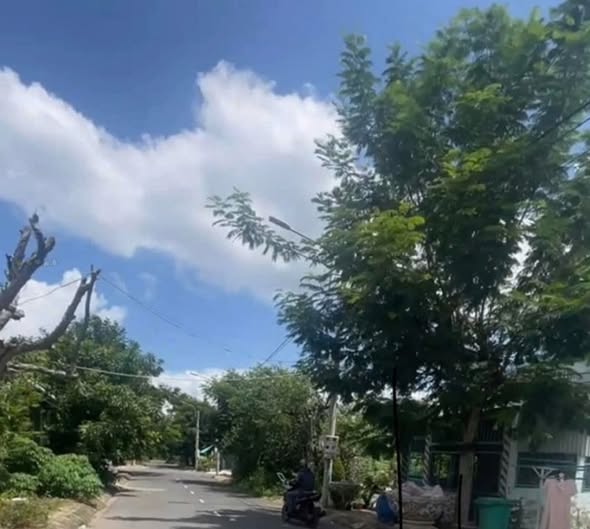 Đất nền Thái Sơn T&T Long Hậu 100m² giá chỉ 2.6 tỷ - Đầu tư sinh lời ngay!