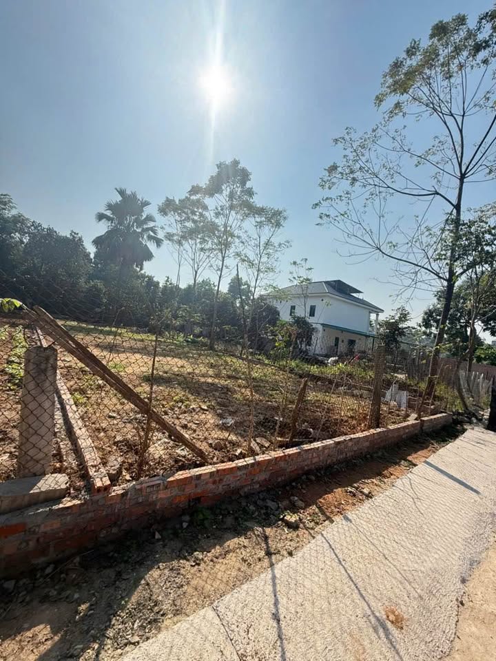 Đất nền Hướng Đạo, Tam Dương 211m² giá 1.6 tỷ - Đầu tư sinh lời ngay!