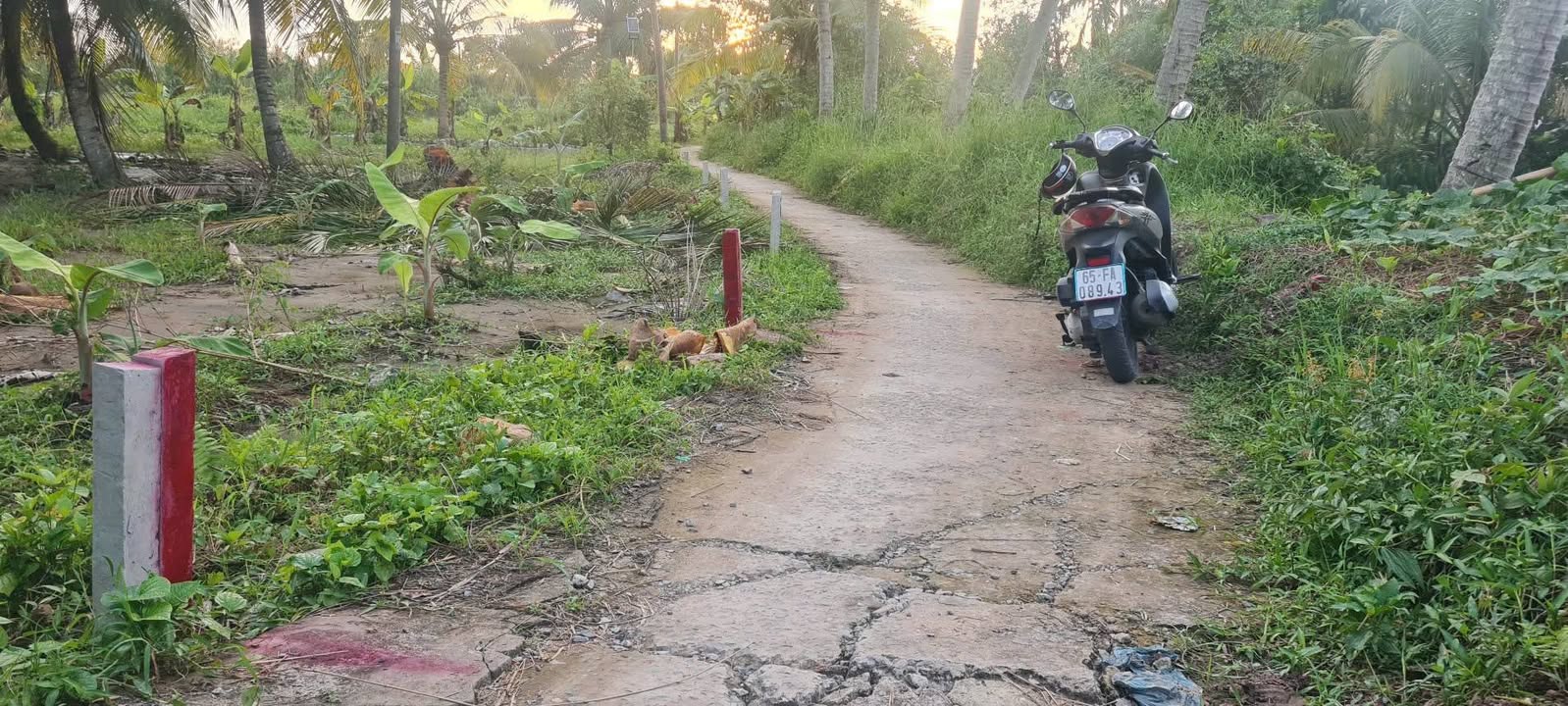 Đất nền thổ cư Phong Điền, Cần Thơ 128.7m² giá chỉ 470 triệu - Cơ hội đầu tư hấp dẫn!