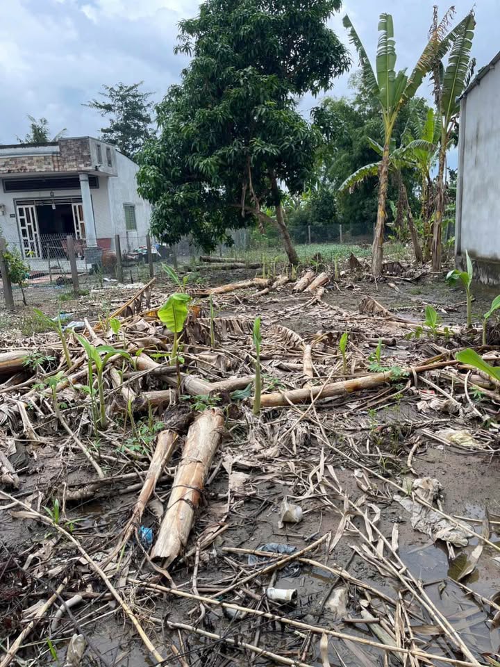 Đất nền Thới Hoà, Ô Môn 383m² giá 1.39 tỷ - Pháp lý rõ ràng, an cư lý tưởng!