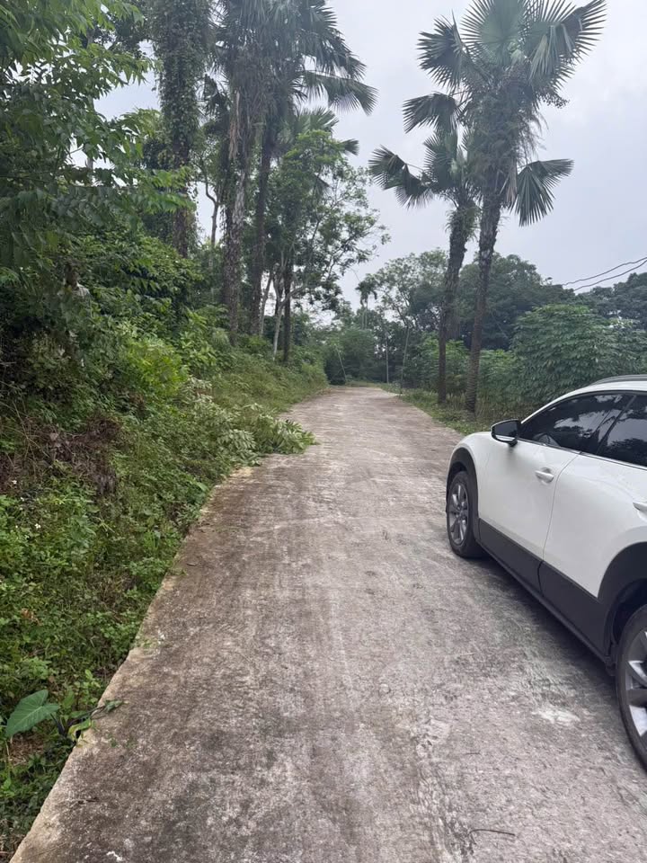 Đất nền Vân Phú, Việt Trì 200m² giá 900 triệu - Cơ hội đầu tư hiếm có!