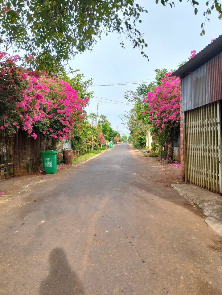 Đất nền phường Ea Kao - Buôn Ma Thuột 720m² giá 1.08 tỷ - Đầu tư sinh lời cực tốt!