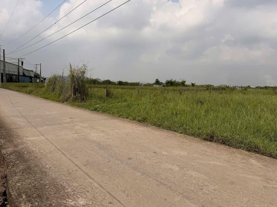 Đất nền Ấp 3 Lạc Tấn, Tân Trụ 125m² giá 570 triệu - Sổ hồng chính chủ