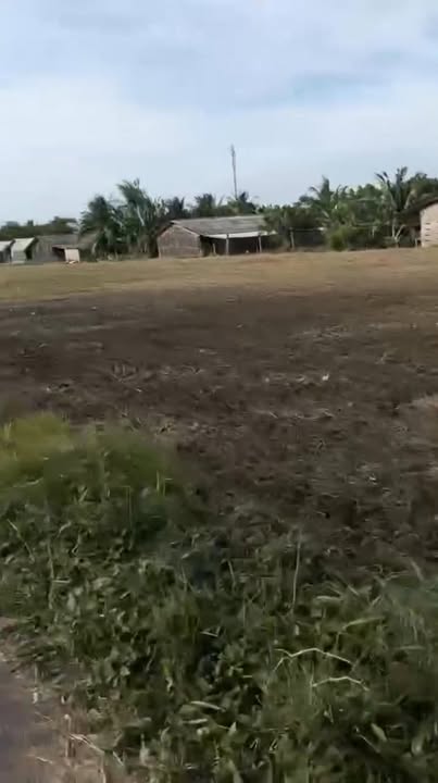 Đất thổ cư Tân Hòa, Sa Đéc 192m² giá 4xx triệu - Đầu tư sinh lời ngay!