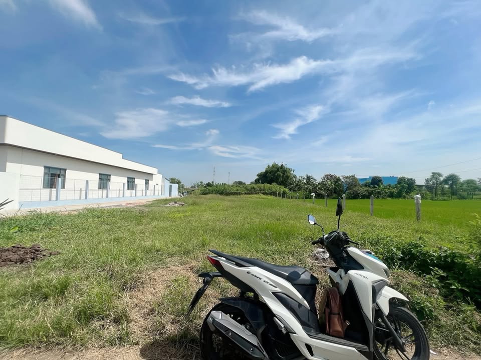 Đất nền thổ cư Long Thuận 246m² giá 800 triệu - Sổ hồng sẵn, đường thông thoáng!