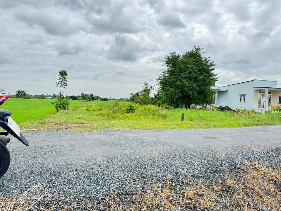 Đất mặt tiền đường HL 98B, Long Chánh, Gò Công - Tiền Giang, 524m² - Giá tốt, thương lượng ngay!