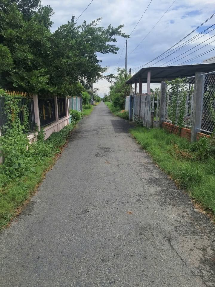 Đất nền Tân Đông Gò Công Đông 270m² giá 720 triệu - Mặt tiền đường nhựa thuận lợi!