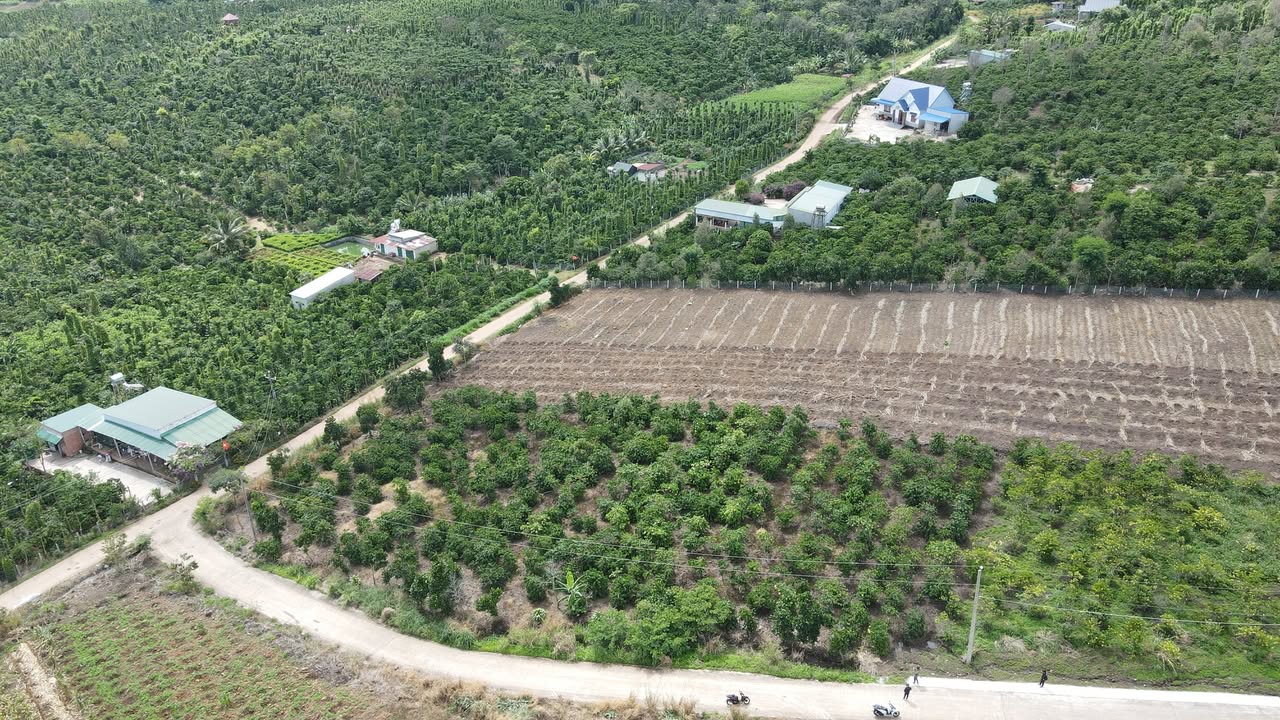 Đất nền Tân Nghĩa, Di Linh 1000m² giá 850 triệu - View sông Đồng Nai thoáng mát!