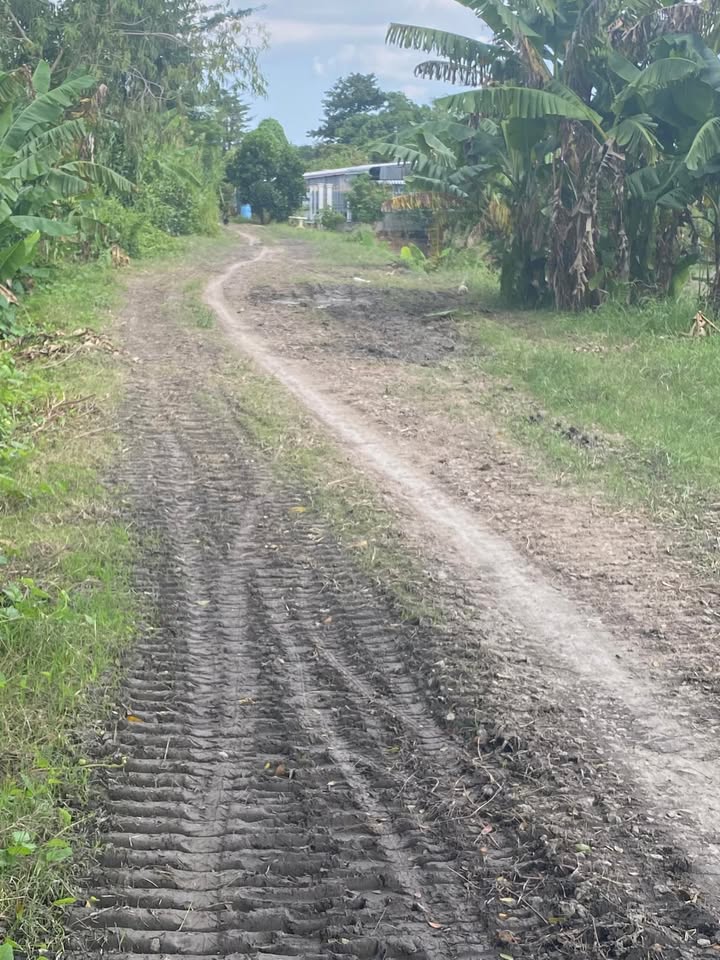 Đất thổ cư 2000m² mặt tiền kênh 10 xã Vĩnh Trạch - Giá 680 triệu, thương lượng nhẹ!