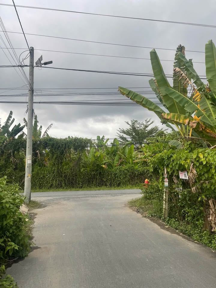 Đất Tân Ngãi Vĩnh Long 86.7m² giá 820 triệu - Gần trung tâm hành chính