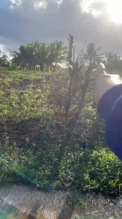 Đất nền Sông Hinh Phú Yên 580m² giá 27.55 tỷ - Khu dân cư yên bình