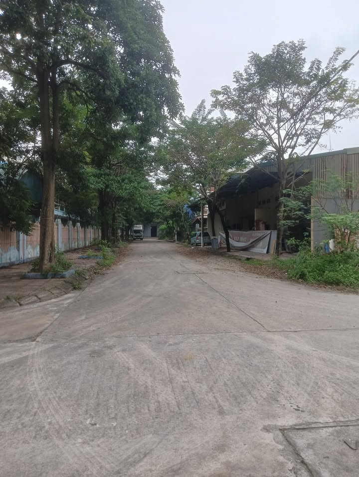 Đất Biệt Thự Thổ Tang, Vĩnh Tường 238m² giá 5.05 tỷ - Đang cho thuê 30 triệu