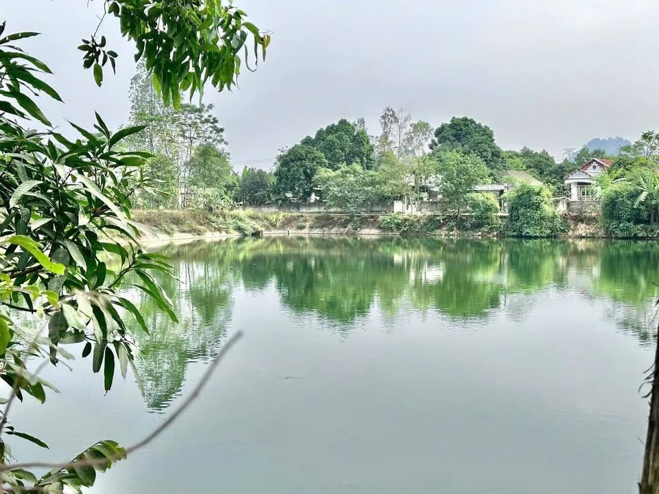 Đất nền Kim Long Tam Dương 168m² giá 1 tỷ - Vị trí đắc địa sát khu công nghiệp!