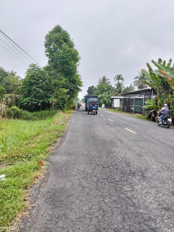 Đất nền Tân Thanh Giồng Trôm 4700m² giá 7 tỷ - Đầu tư sinh lời ngay!