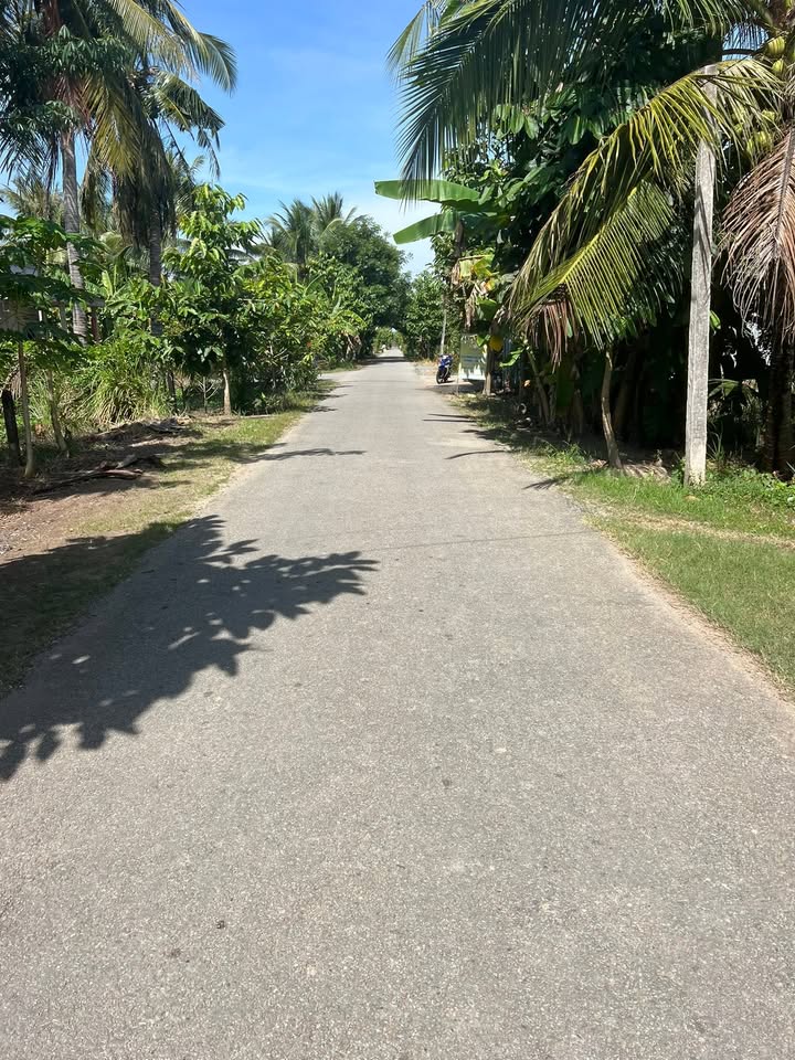 Đất nền mặt tiền Đường Đê Tây, xã Châu Hưng, 4945m² giá 870 triệu - Cơ hội đầu tư hấp dẫn!