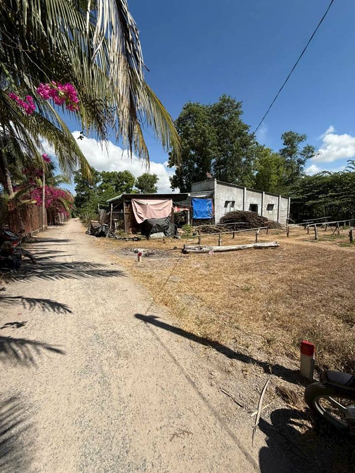 Đất thổ cư 100m² tại Long Mỹ, Đất Đỏ - Giá chỉ 870 triệu VND!