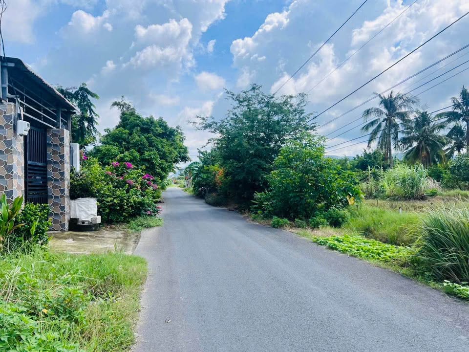 Đất thổ cư phường Tân Hải 359m² giá 2.4 tỷ - Đuôi nở hậu, cơ hội đầu tư hấp dẫn!