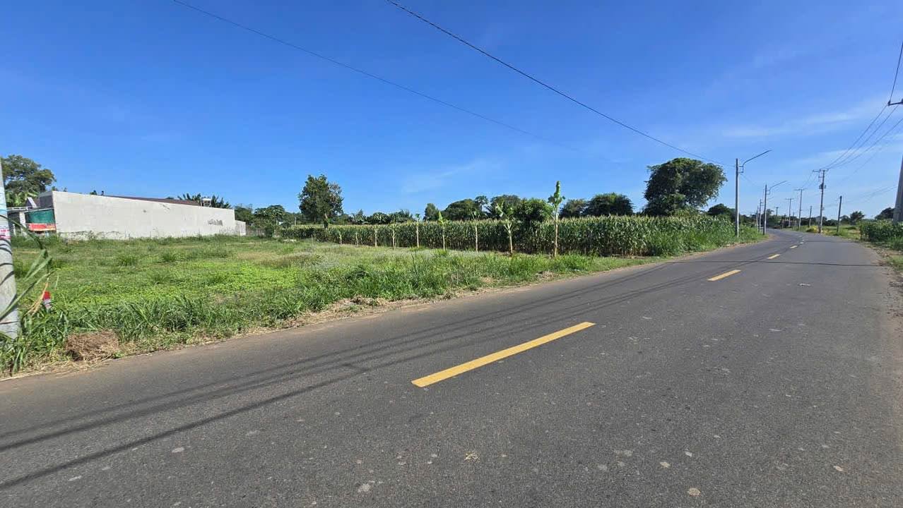 Đất nền mặt tiền Lê Thánh Tông, Đất Đỏ, 123.5m² giá chỉ 1.2 tỷ - Đầu tư sinh lời ngay!