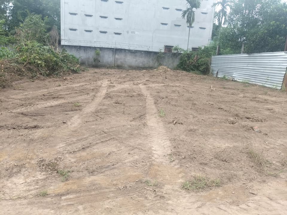 Đất thổ cư Hắc Dịch 100m² giá chỉ 280 triệu - Cơ hội đầu tư tuyệt vời!