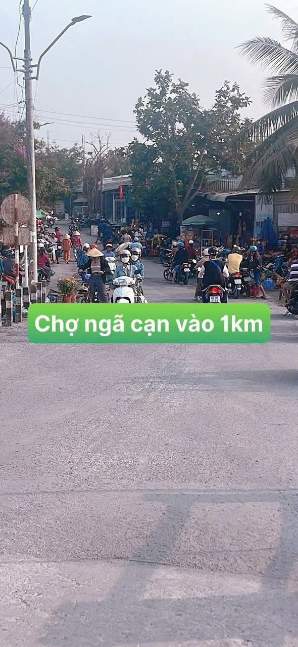 Đất thổ cư 100m² tại Tân Quới, Vĩnh Long - Giá chỉ 4xx triệu, vị trí thuận lợi!