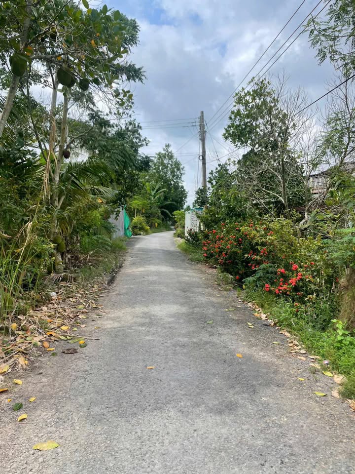 Đất nền thổ cư đường Huyện 87, xã Mỹ Thuận, Vĩnh Long 154m² giá 399 triệu - Đầu tư sinh lời ngay!