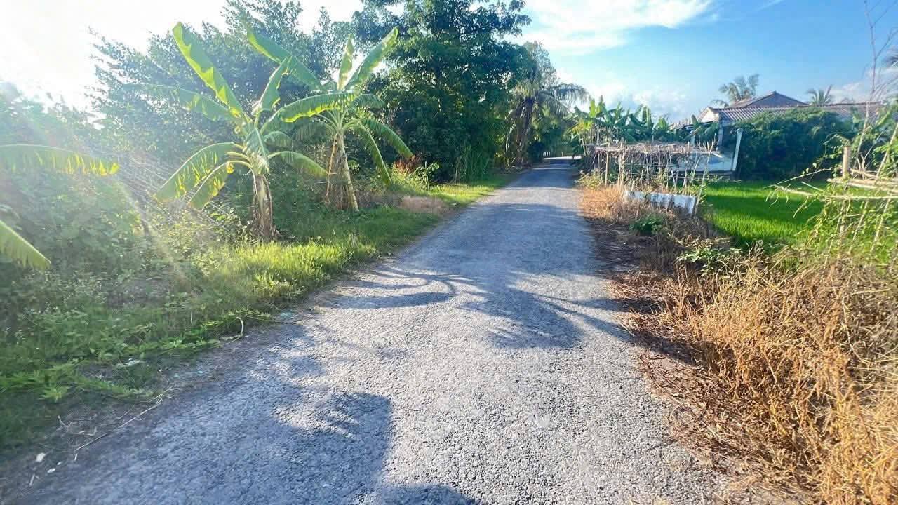 Đất nền 3000m² tại Cần Thơ giá chỉ 1.47 tỷ - Gần chợ và trường học!