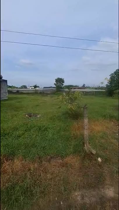 Đất thổ cư 300m² Tân Phú Trung Củ Chi, giá chỉ 2 tỷ - Cơ hội vàng cho đầu tư!