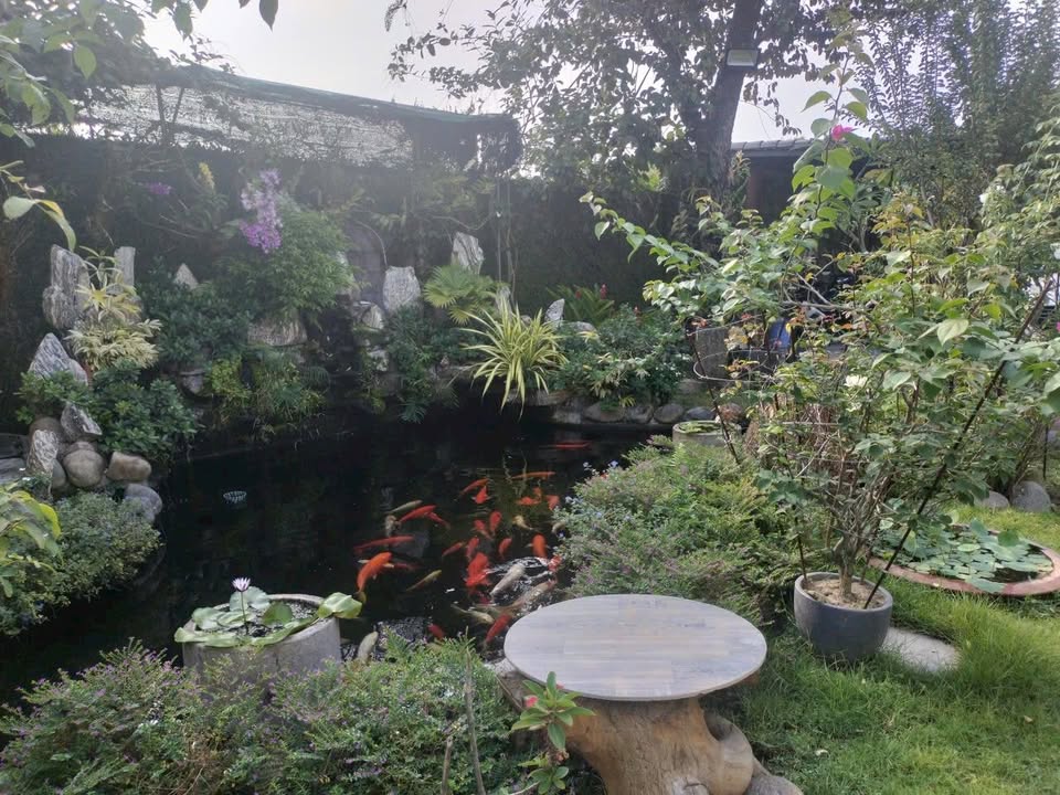 Đất nền Phú Mỹ Hưng Củ Chi 2640m² - Giá đầu tư hấp dẫn!