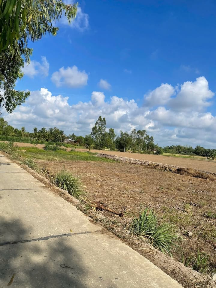 Đất nền liền kề mặt tiền đường Danl, 1146m² giá 570 triệu - Vị trí giao thông thuận lợi!