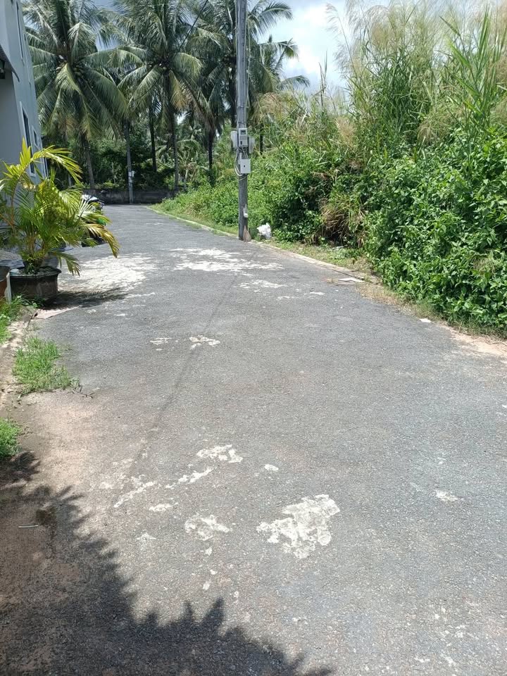 Đất thổ cư 102m² tại Phú Hoà, Trà Vinh giá chỉ 400 triệu - Tặng nhà tiền chế!