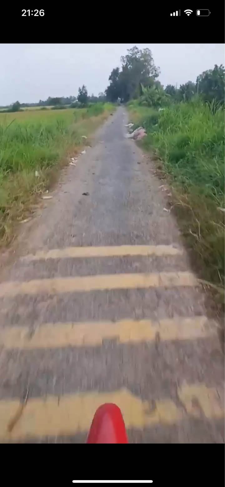 Đất mặt tiền đường nhựa 3990m² tại Phước Hảo, Châu Thành - Giá chỉ 1.356 tỷ!