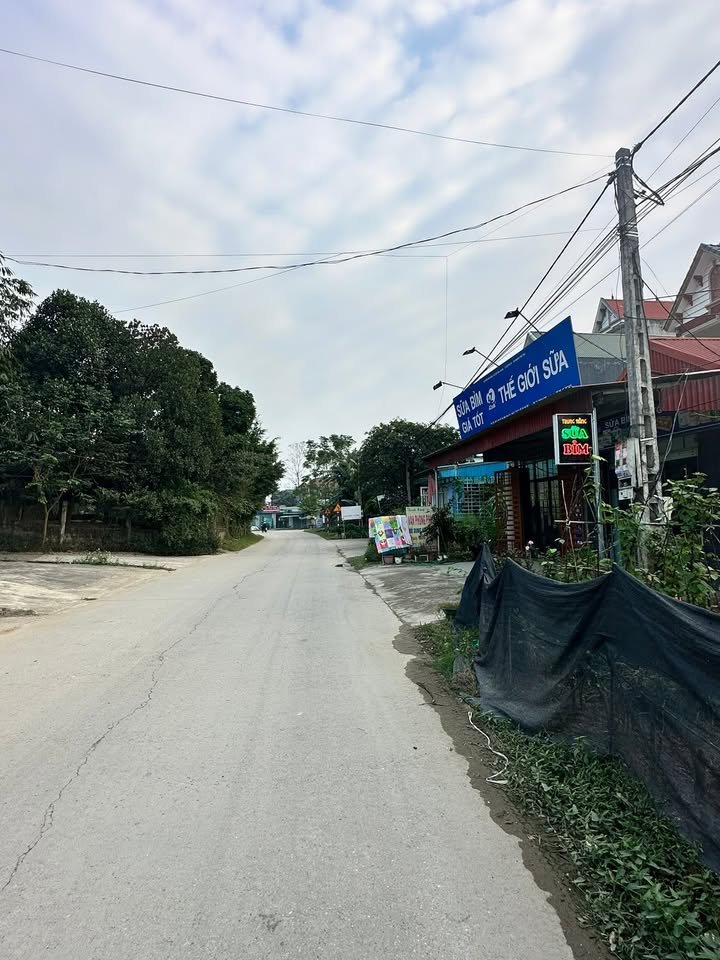 Đất đẹp khu phố 8, xã Phú Mỹ, huyện Phù Ninh, 100m² - Cơ hội đầu tư tuyệt vời!