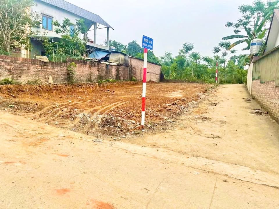 Đất nền 3 mặt tiền Yên Trung, Thạch Thất 159m² - Đón đầu Metro 5!