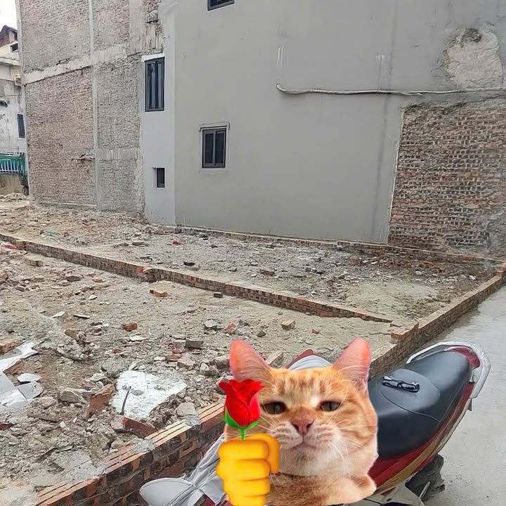 Đất chính chủ Đông Ngạc 45m² giá 6.5 tỷ - Tiềm năng sinh lời cao!