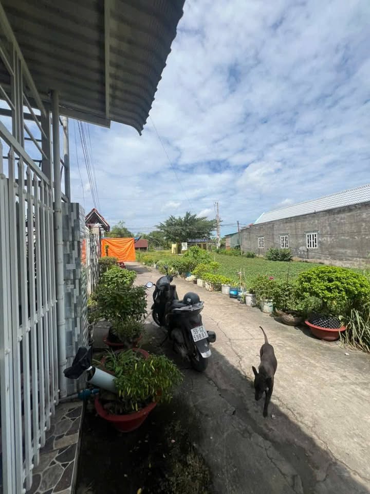 Nhà cấp 4 Ấp Đồng Tâm, Long Trạch, Cần Đước 111.8m² giá 1.4 tỷ - Gần đường xe du lịch!