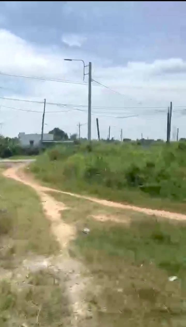 Đất nền Tân Hải, La Gi 4320m² giá 800 triệu - Tiềm năng đầu tư không thể bỏ lỡ!