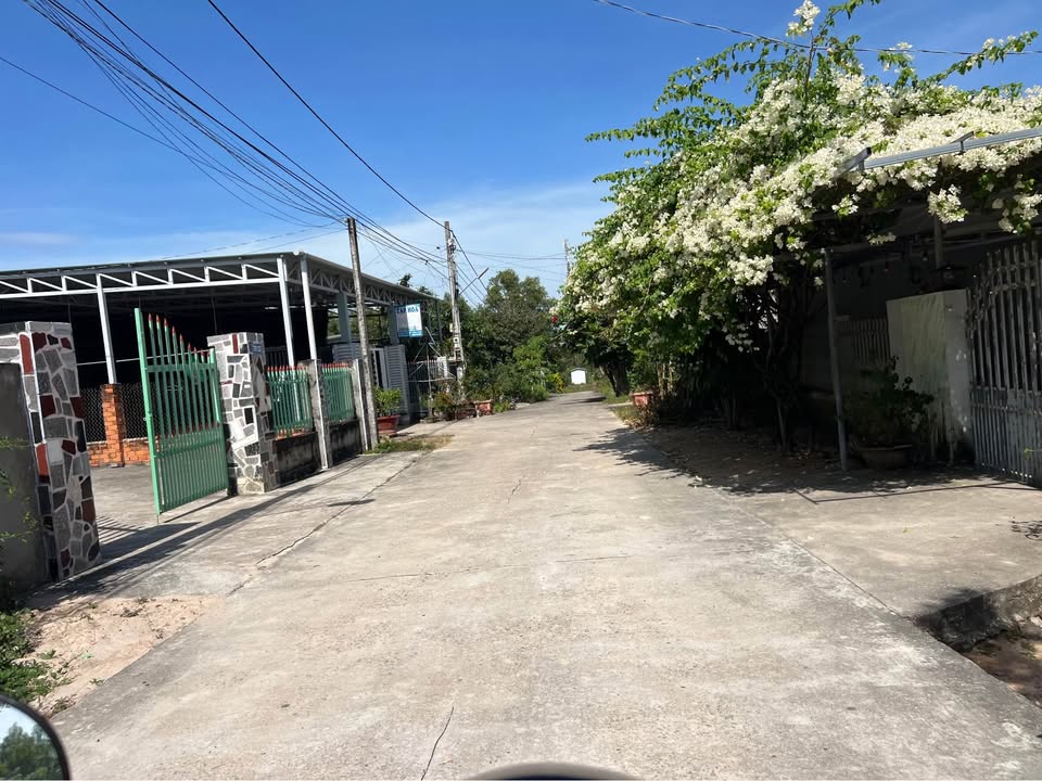 Đất thổ cư mặt tiền đường Thống Nhất, Tân An 310m² giá 1 tỷ - Đầu tư sinh lời ngay!