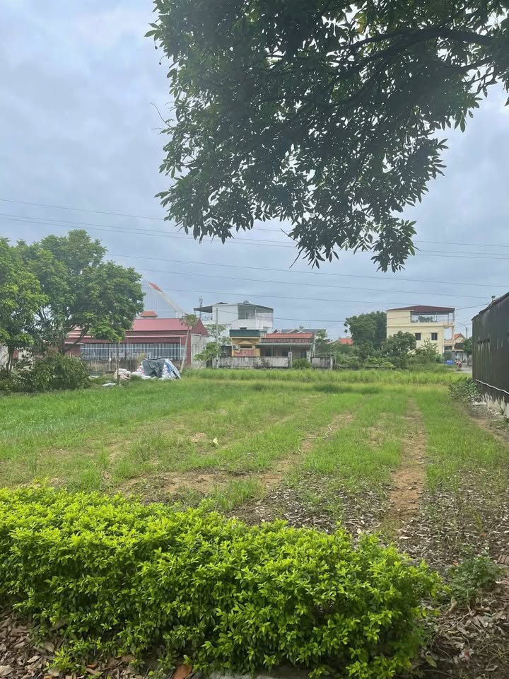 Đất nền mặt tiền 5.6m tại Đông Hoa Lư, 112m² - Cơ hội đầu tư sinh lời!