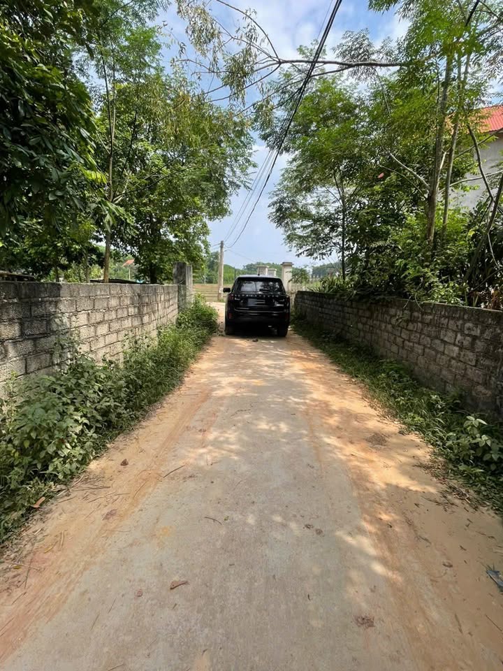 Đất nền Tân Khánh, Đại Từ, Thái Nguyên 200m² giá 400 triệu - Cơ hội đầu tư sinh lời!