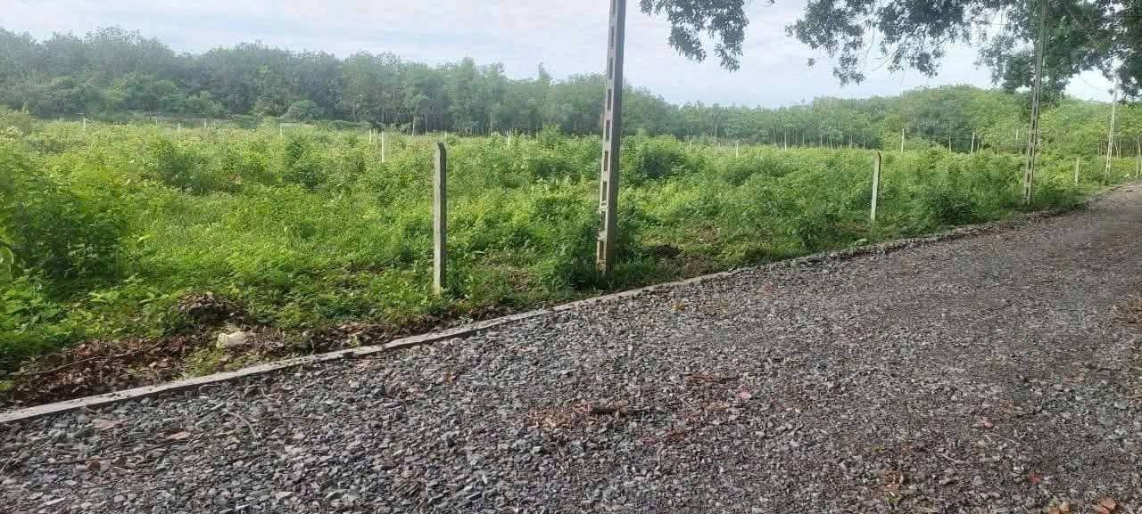 Đất nền An Điền, Bến Cát, Bình Dương 160m² giá 880 triệu - Bán gấp do kẹt tiền!