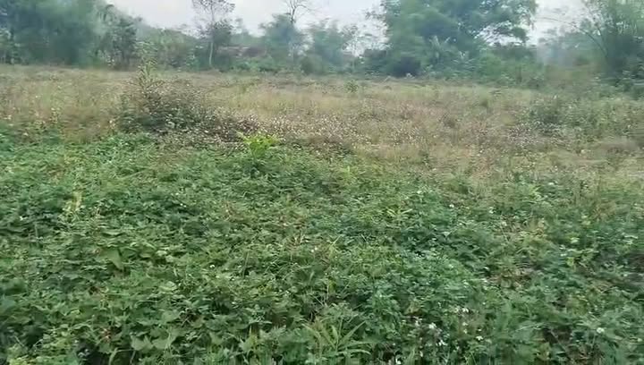 Đất nền Tăng Thành, Yên Thành 2900m² - Cơ hội đầu tư tuyệt vời!